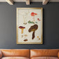 Mushroom Species XI - Modern Framed Canvas Print