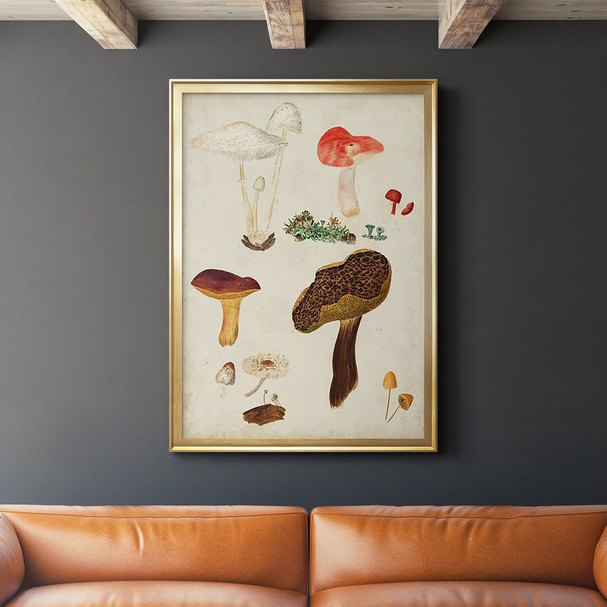 Mushroom Species XI - Modern Framed Canvas Print