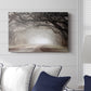 Timeless Plantation Drive - Canvas Art Print