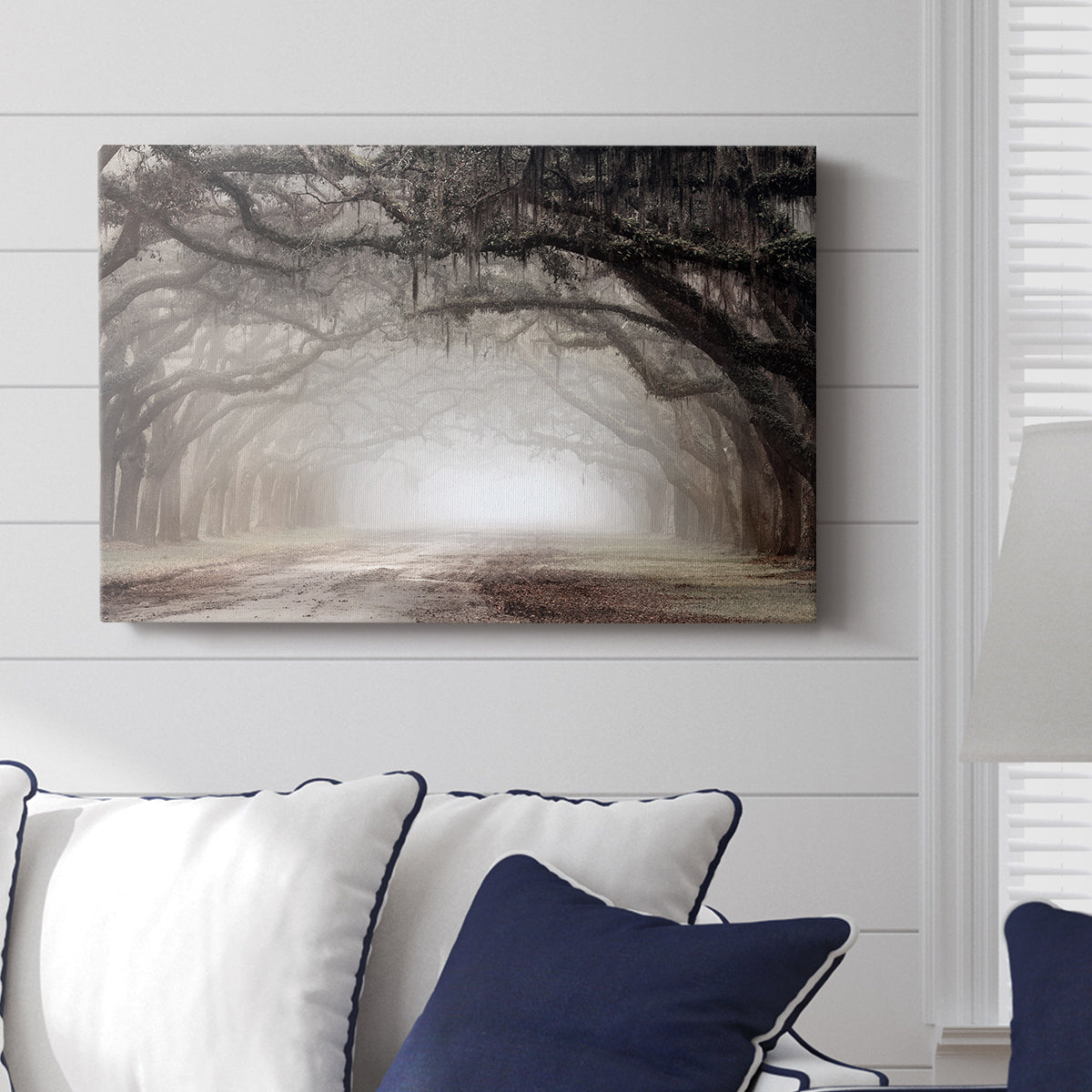 Timeless Plantation Drive - Canvas Art Print