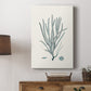 Antique Coastal Coral VII - Canvas Art Print