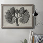 Monochrome botanical plant study photograph by Karl Blossfeldt in an ornate vintage silver frame displayed in a neutral interior setting.