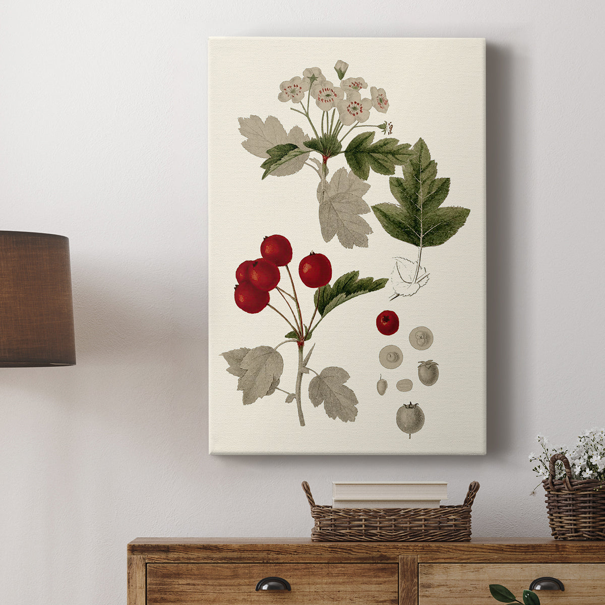 Leaves & Berries III - Canvas Art Print