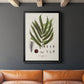 Botanical Society Ferns II - Modern Framed Canvas Print