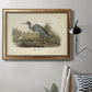 Audubons Blue Heron Premium Framed Canvas- Ready to Hang