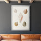 Pastel Knorr Shells IX - Modern Framed Canvas Print