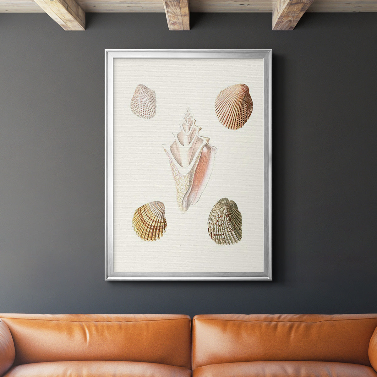 Pastel Knorr Shells IX - Modern Framed Canvas Print