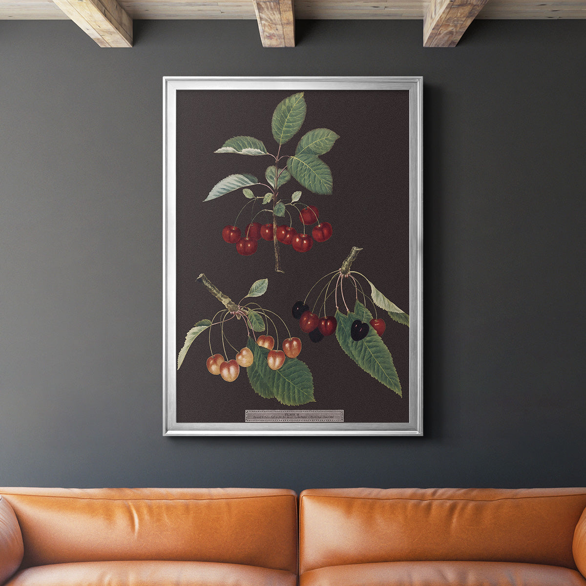 Brookshaw Cherries - Modern Framed Canvas Print
