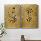 Gold Sketch Botanical I Premium Gallery Wrapped Canvas - Ready to Hang - Set of 2 - 8 x 12 Each