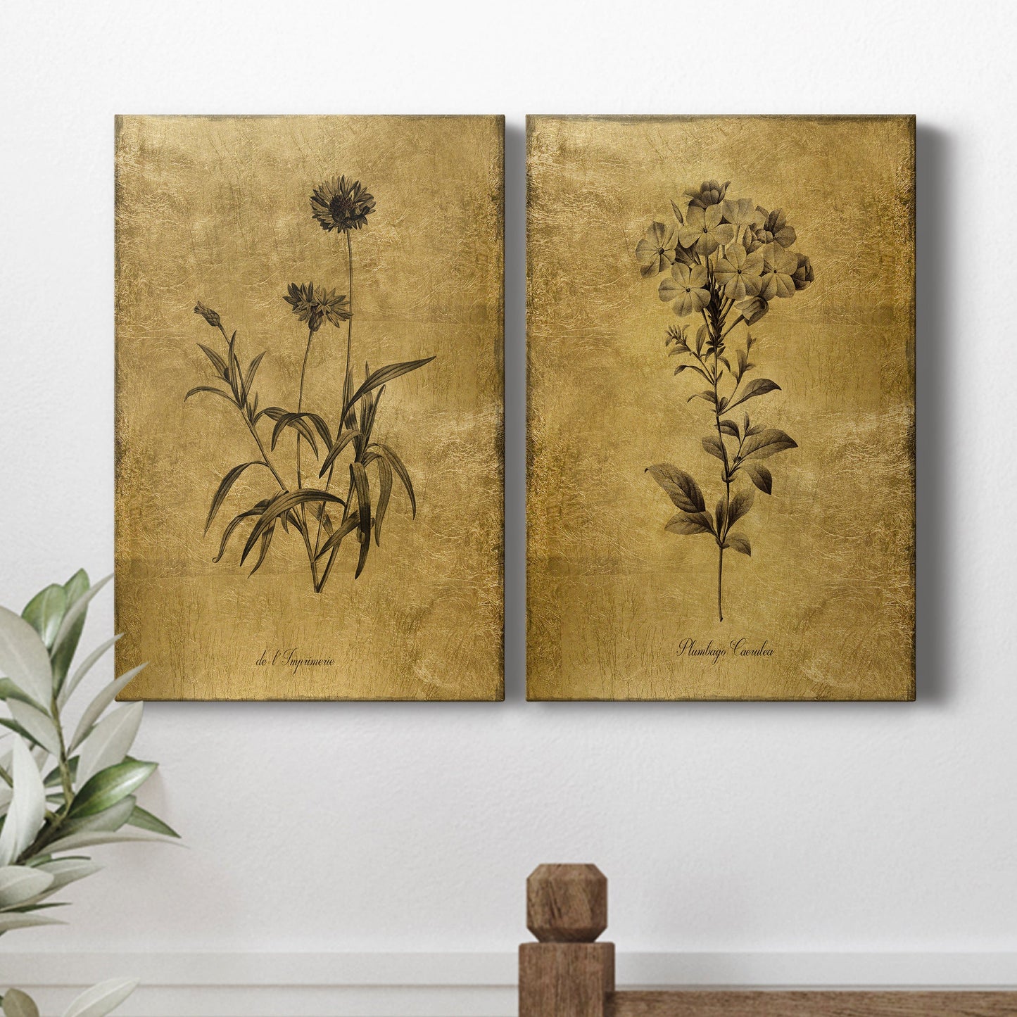 Gold Sketch Botanical I Premium Gallery Wrapped Canvas - Ready to Hang - Set of 2 - 8 x 12 Each