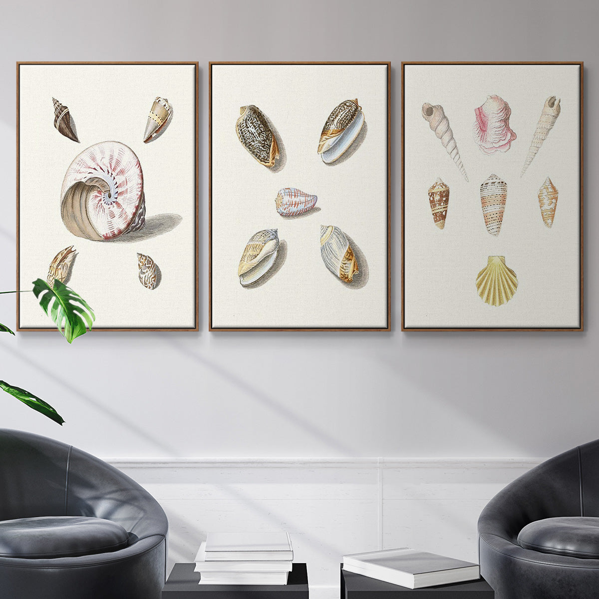 Pastel Knorr Shells I - Framed Premium Gallery Wrapped Canvas L Frame 3 Piece Set - Ready to Hang