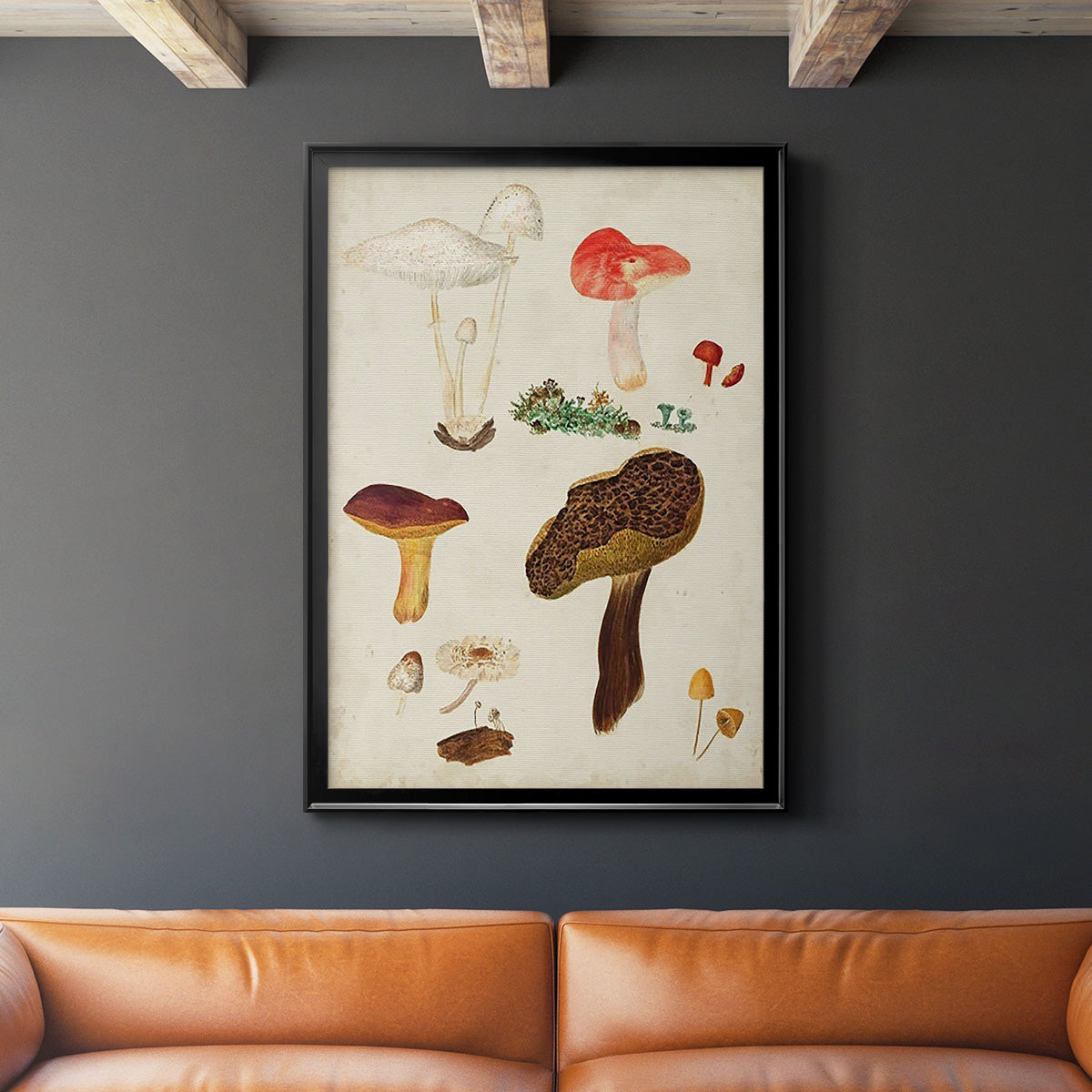 Mushroom Species XI - Modern Framed Canvas Print