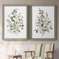 Neutral Eucalyptus I - Premium Framed Canvas 2 Piece Set - Ready to Hang