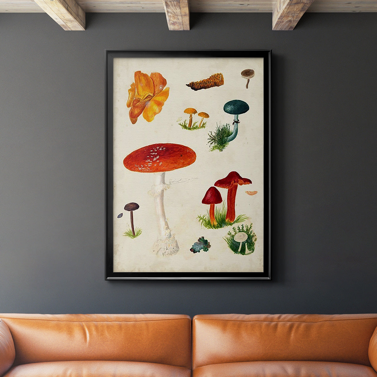 Mushroom Species VIII - Modern Framed Canvas Print