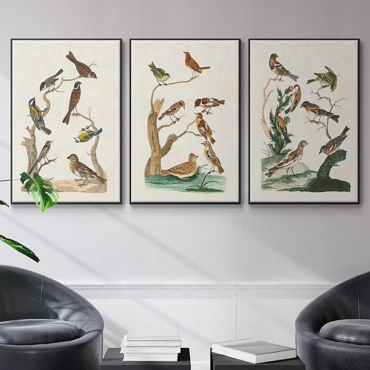 Antique Birds in Nature I - Framed Premium Gallery Wrapped Canvas L Frame 3 Piece Set - Ready to Hang