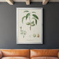 Antique Almond Botanical I - Modern Framed Canvas Print