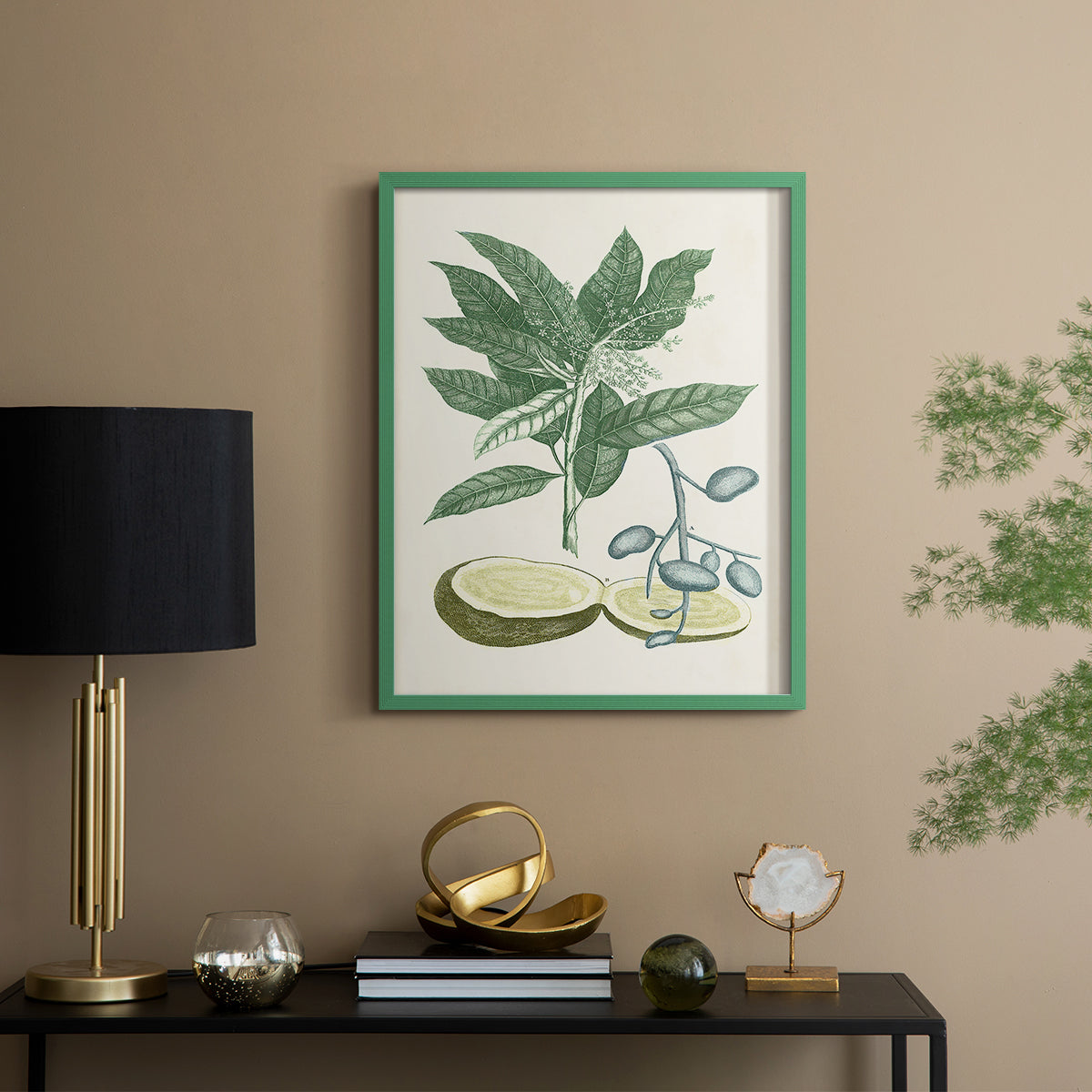 Buchoz Tropicals IV - Restickable Framed Art Print