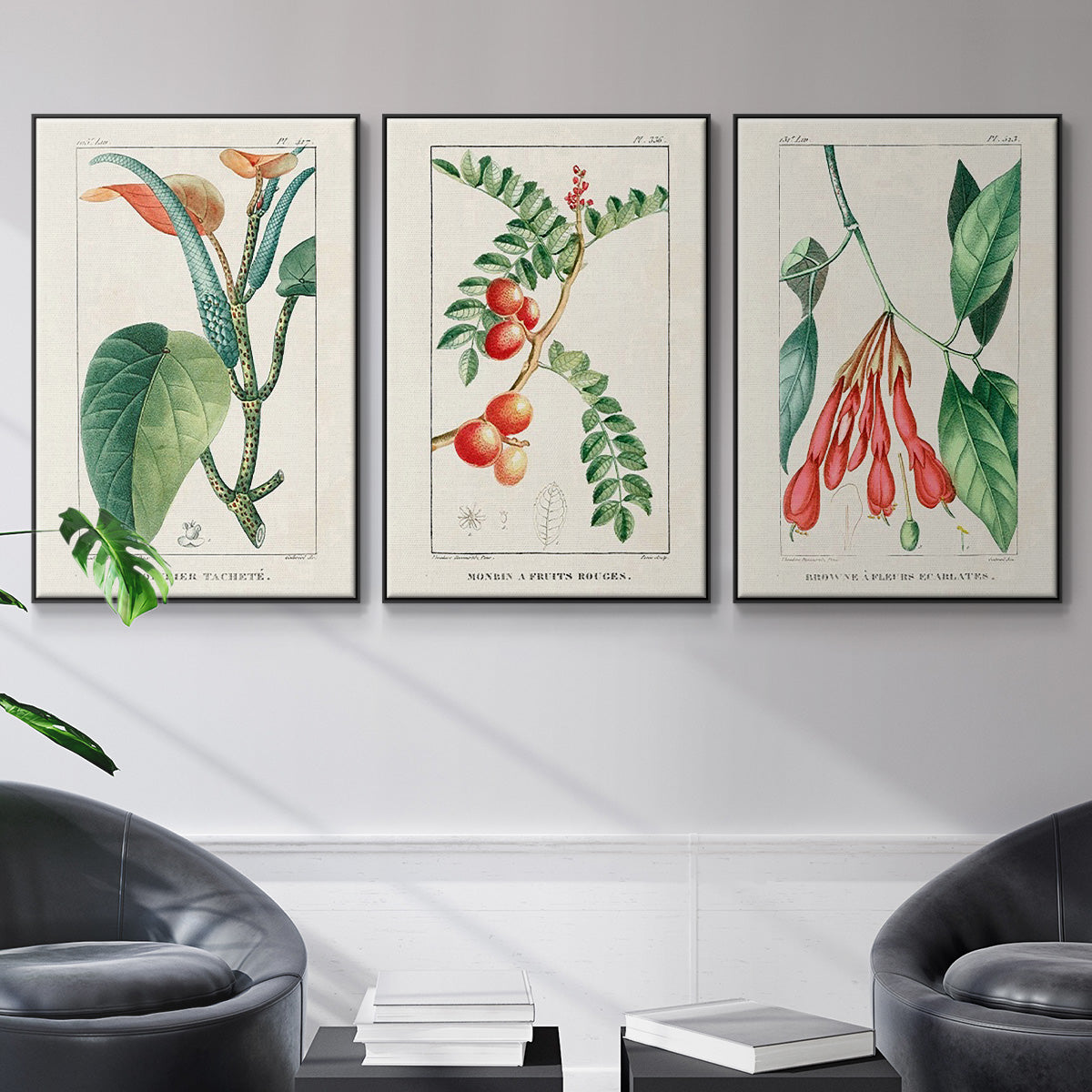 Turpin Tropical Botanicals I - Floater Framed Canvas Set