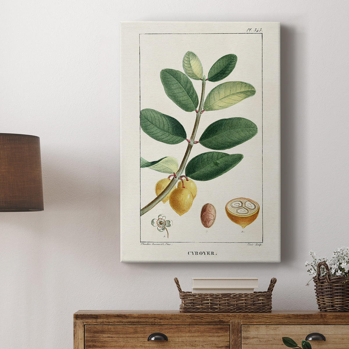Turpin Tropical Botanicals V - Canvas Art Print