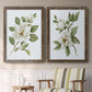 Magnolia Morning I - Premium Framed Canvas 2 Piece Set - Ready to Hang