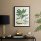 Buchoz Tropicals IV - Restickable Framed Art Print