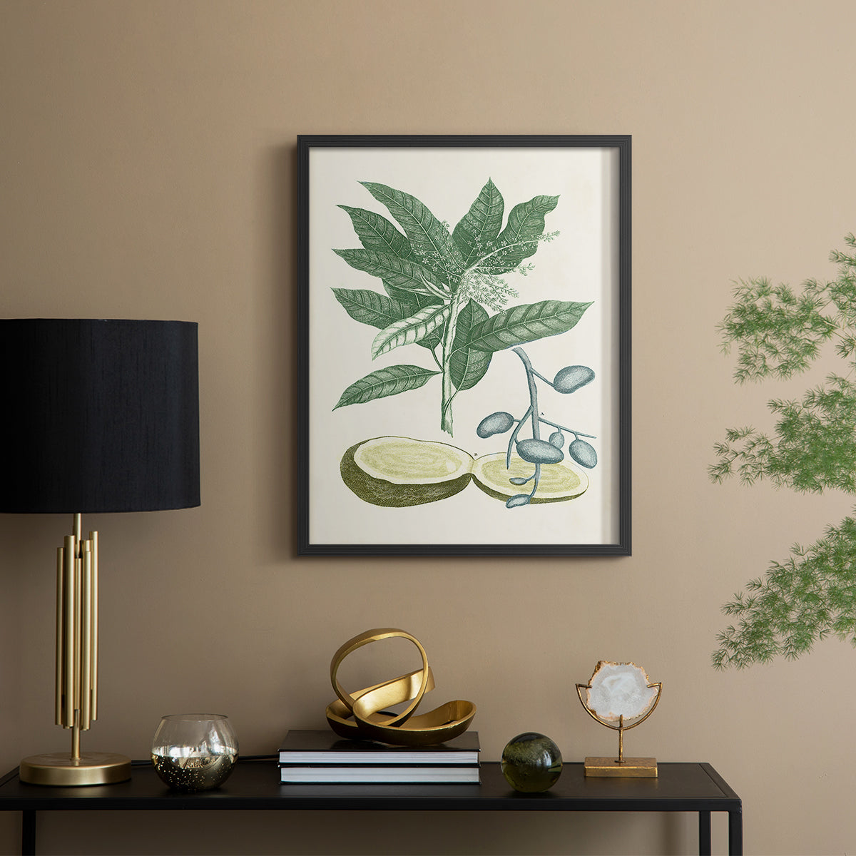 Buchoz Tropicals IV - Restickable Framed Art Print
