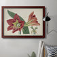 Amaryllis Splendor I Premium Framed Canvas- Ready to Hang