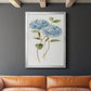 Petite Blue Hydrangea II - Modern Framed Canvas Print