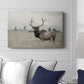 Grand Elk - Canvas Art Print