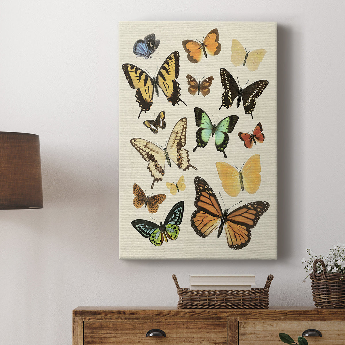 Collected Flutter I - Canvas Art Print