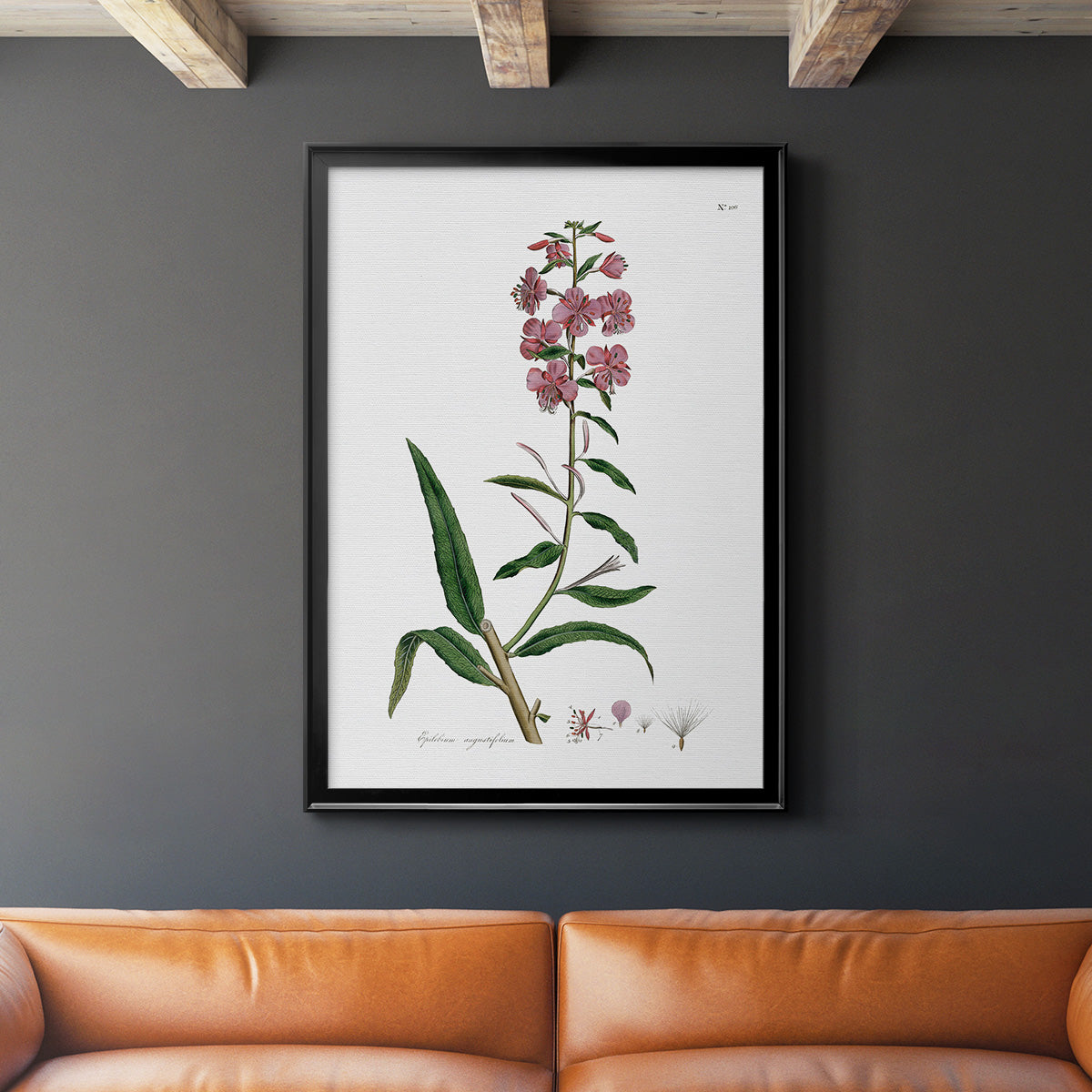 Rose Botanical I - Modern Framed Canvas Print