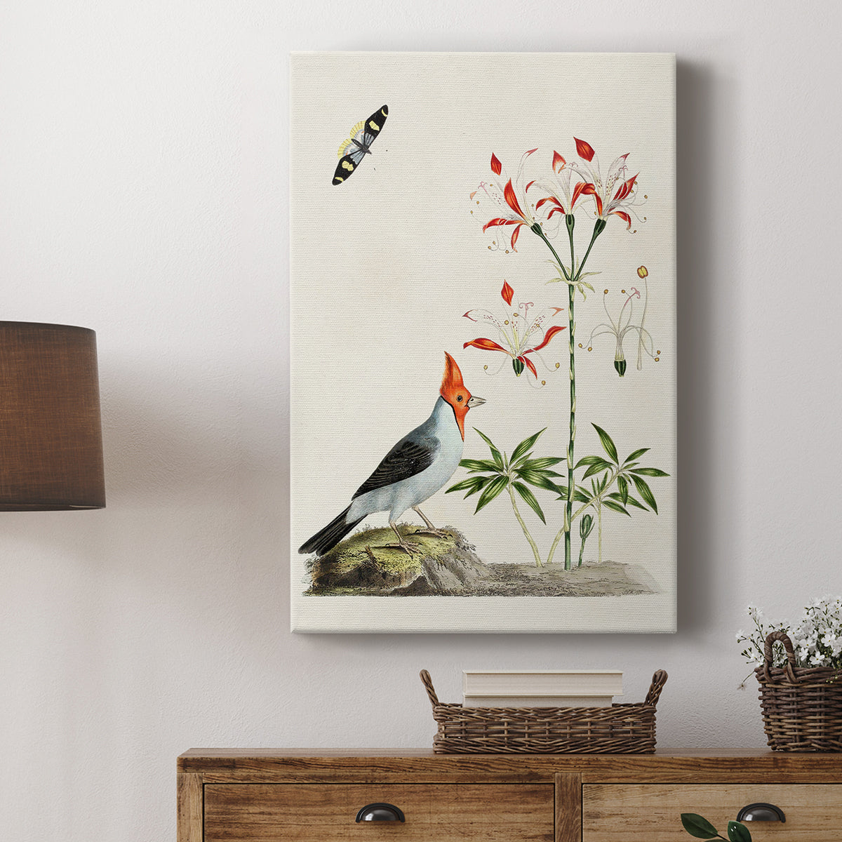 Red-Crested Cardinal and Peruvian Lily, 1796 - Canvas Art Print