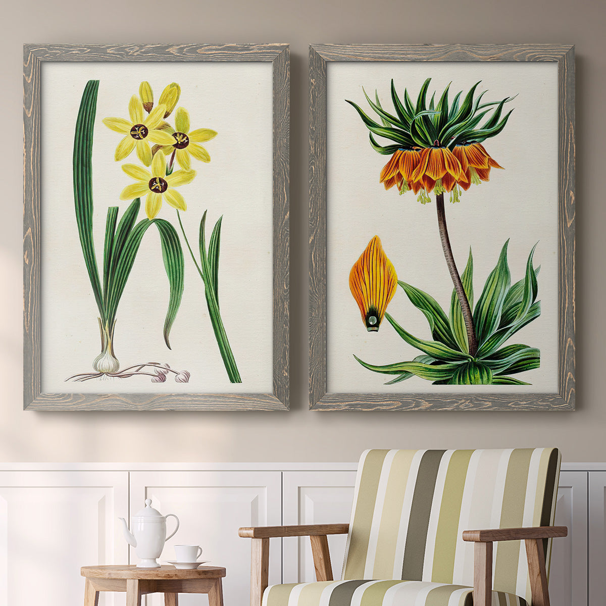 Set of two gray barnwood framed canvas prints depicting two antique botanical plate illustrations featuring colorful flowering plant specimens above a sideboard in a cozy sitting room.