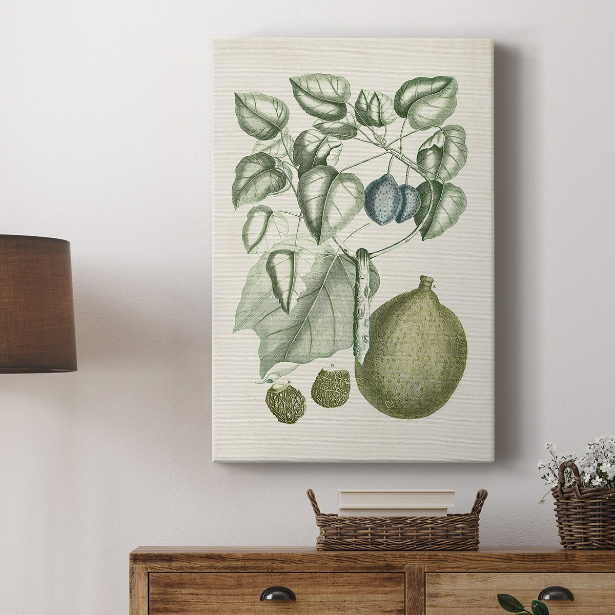 Buchoz Tropicals VIII - Canvas Art Print