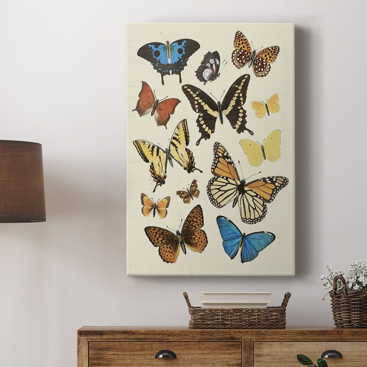 Collected Flutter II - Canvas Art Print