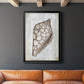 Ocean Cone I - Modern Framed Canvas Print