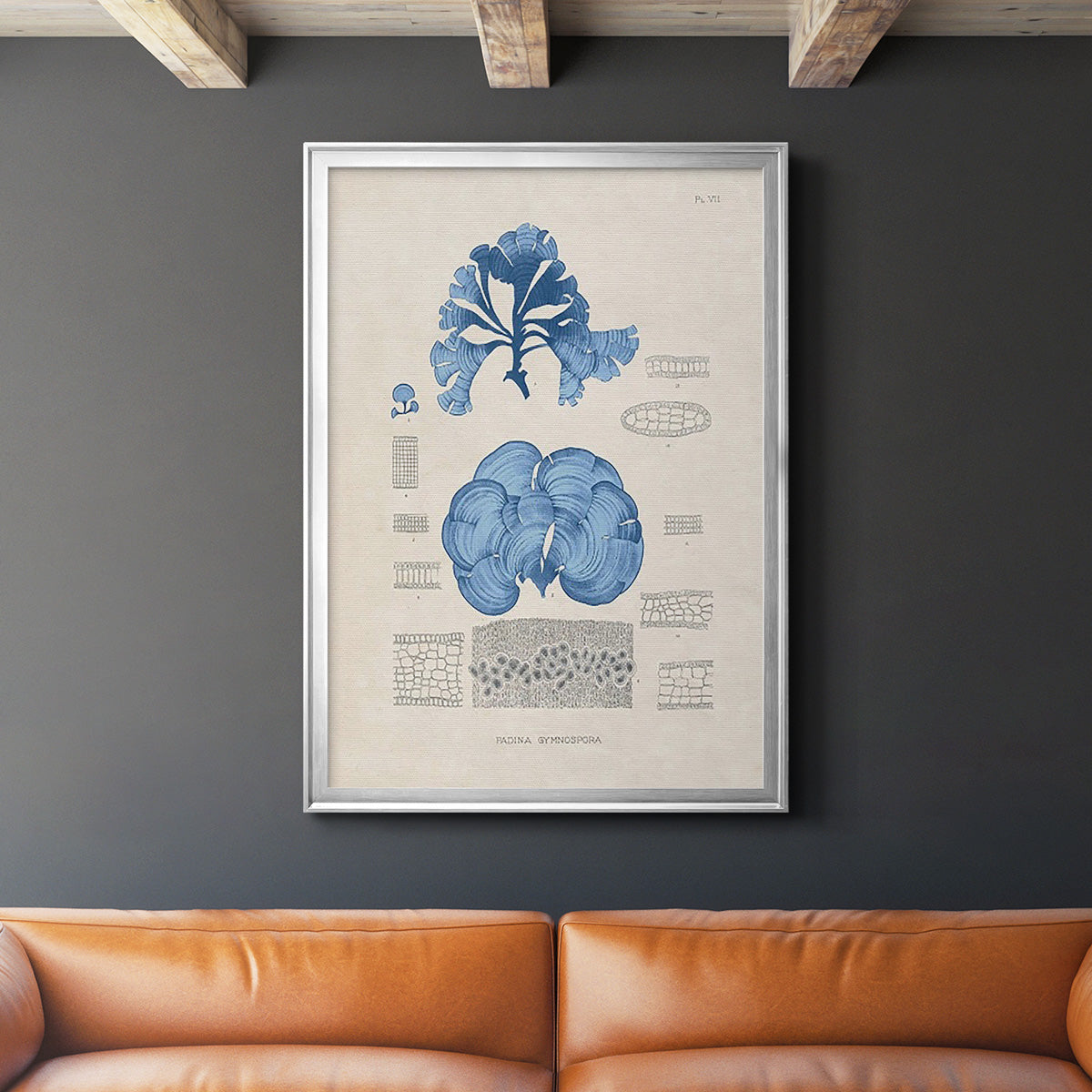 Blue Marine Algae IV -  Framed Canvas Print