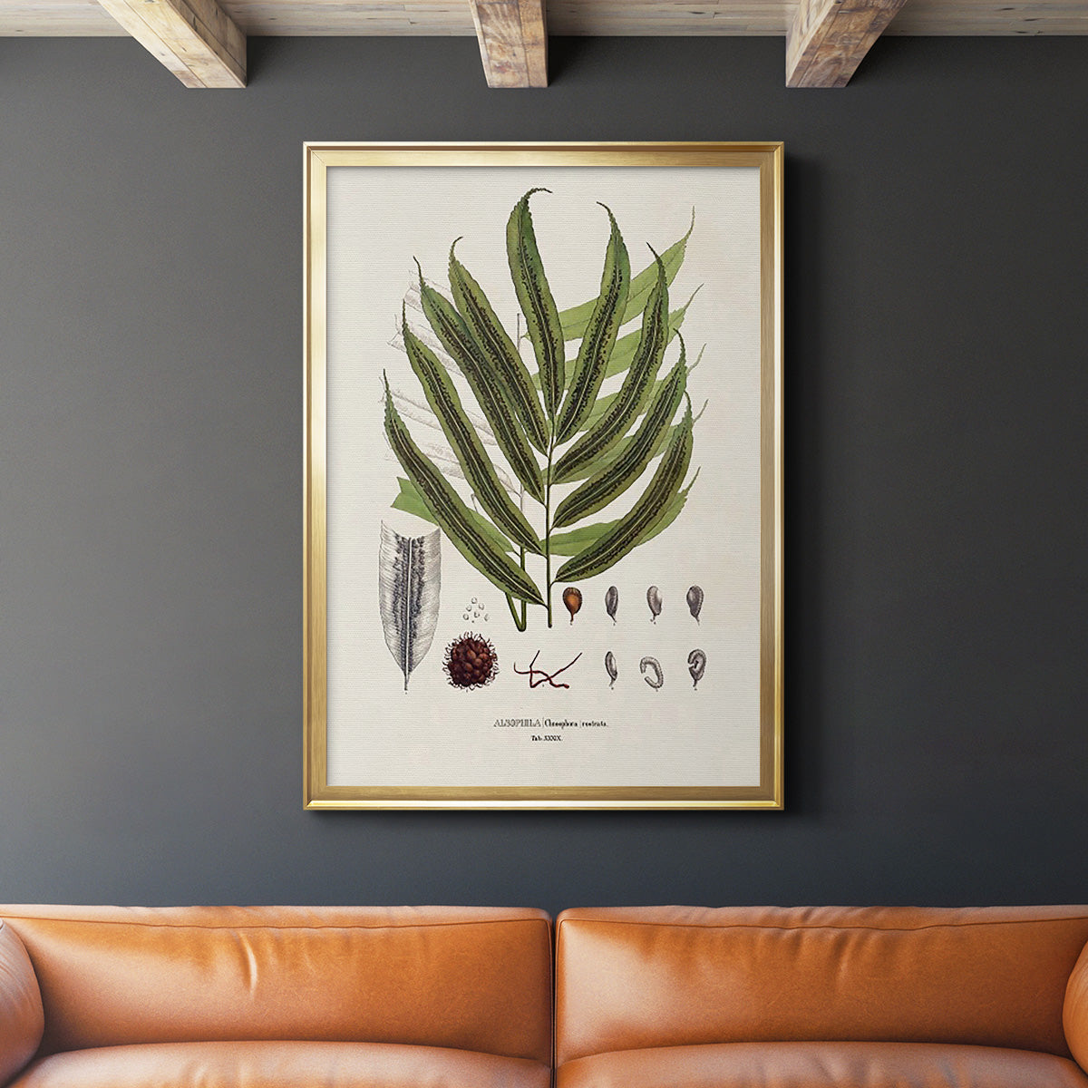 Botanical Society Ferns II - Modern Framed Canvas Print