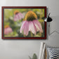 Echinacea Study I Premium Framed Canvas- Ready to Hang