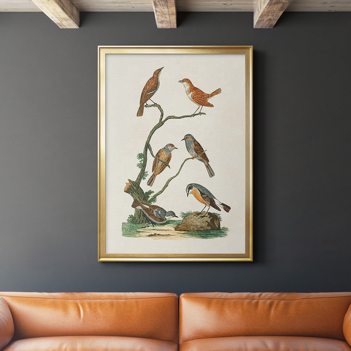 Antique Birds in Nature IV - Modern Framed Canvas Print