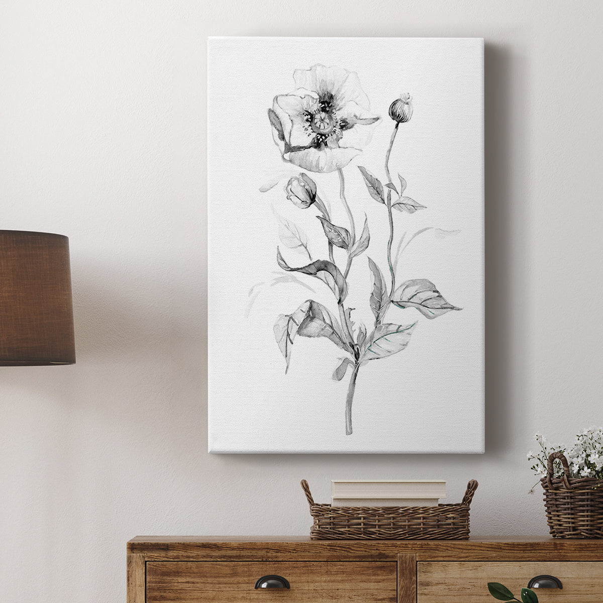 Wild Poppy Sketch - Canvas Art Print