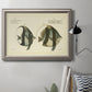 Bloch Antique Fish II Premium Framed Canvas- Ready to Hang