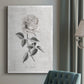 Vintage Botanical I Premium Gallery Wrapped Canvas - Ready to Hang