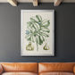 Buchoz Tropicals IX - Modern Framed Canvas Print