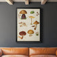 Mushroom Species II - Modern Framed Canvas Print