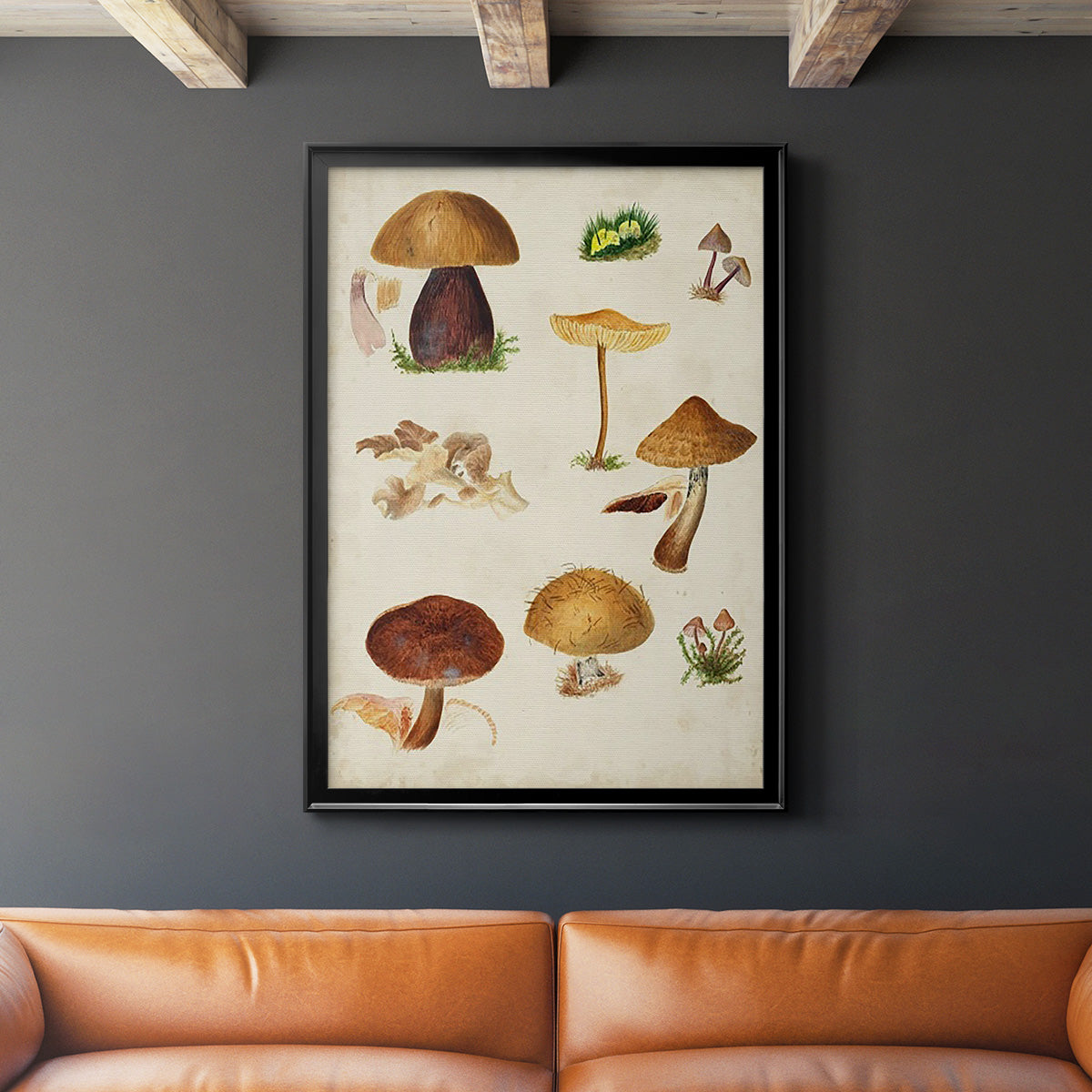 Mushroom Species II - Modern Framed Canvas Print