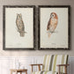 Scops- Eared Owl - Premium Framed Canvas 2 Piece Set - Ready to Hang