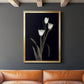 Tulip Pose I - Modern Framed Canvas Print