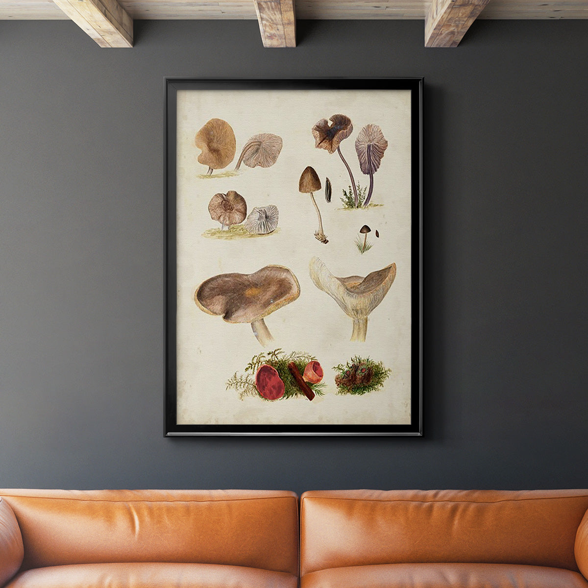 Mushroom Species III - Modern Framed Canvas Print