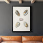 Pastel Knorr Shells III - Modern Framed Canvas Print